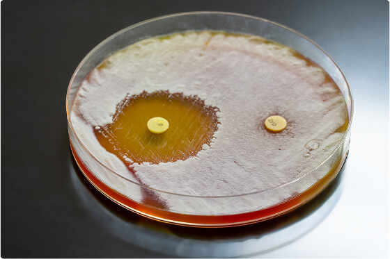 Antibiotic