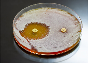 Antibiotic