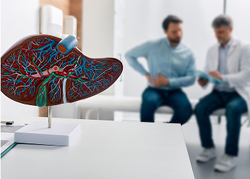 Liver